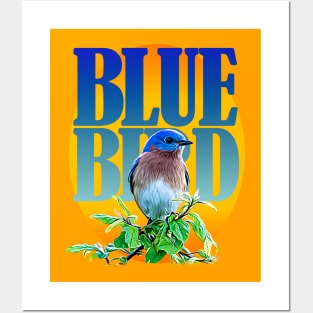 Bluebird Posters and Art